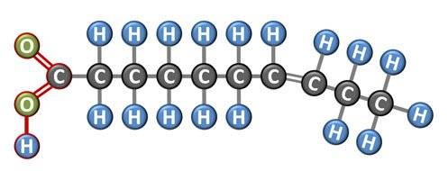 unsaturated fat molecule