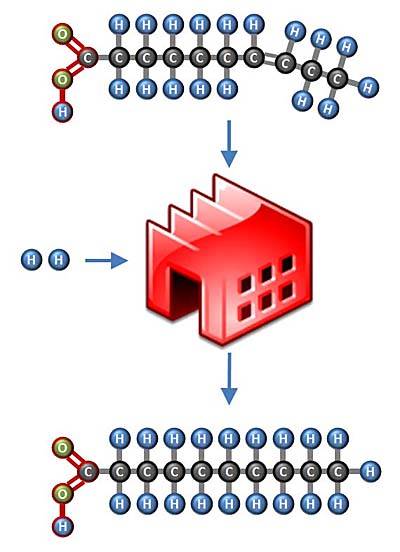 hydrogenation process