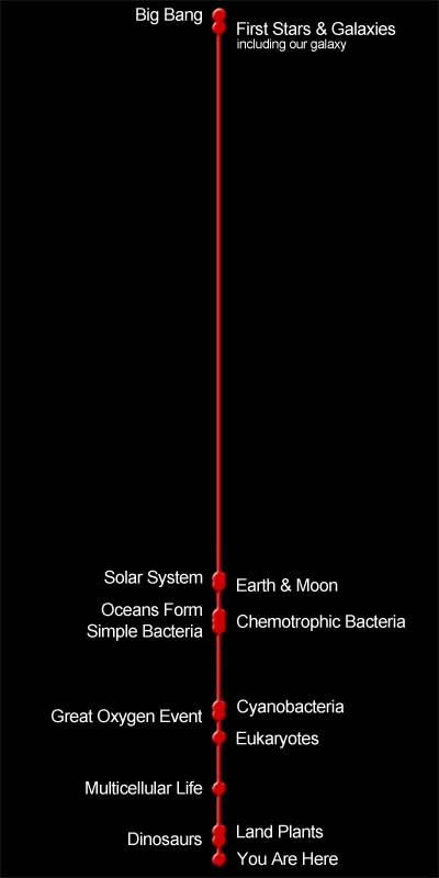 A timeline for the universe depicting notable features.