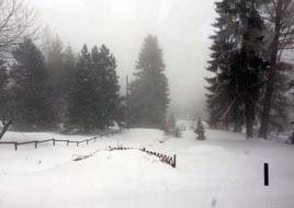 A view downhill from Les Pléiades during heavy snow fall.