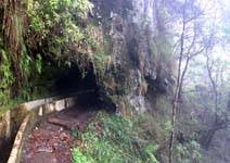 Madeira - Levada through tunnel