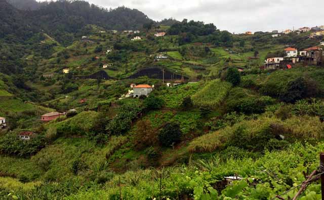 Madeira - Porta da Cruz hills