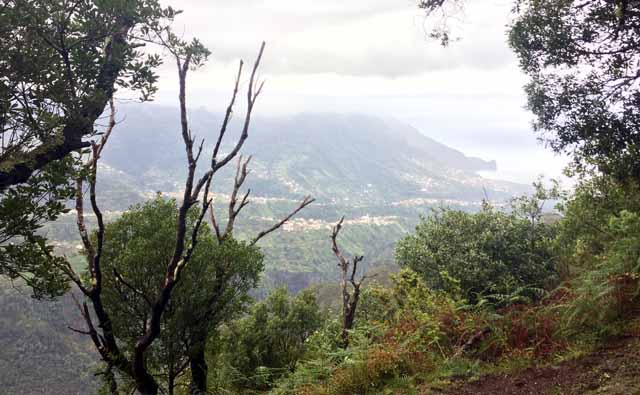 Madeira - Return from Portela