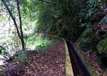 Madeira - Santo da Serra levada