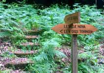 Madeira - Staircase to Santos da Serra