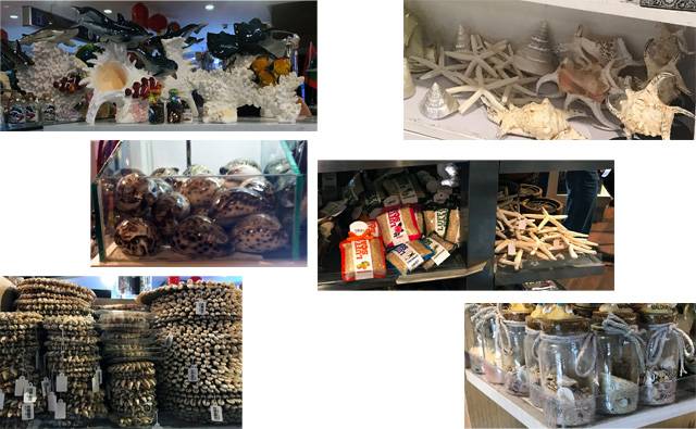 a collage of photos from Male airport which sells coral, sand, shells, starfish and lufus