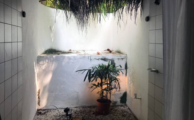 on Makunudu in the Maldives, each hut has an open air bathroom