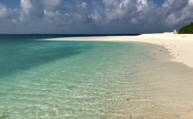 Part of our daily shoreline walk around Makunudu island in the Maldives