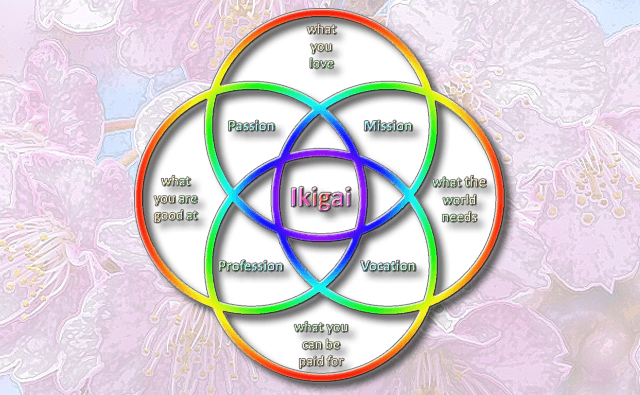 A diagram showing the elements of Ikigai that make it work