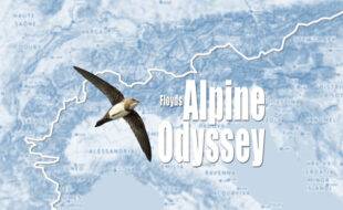 Floyds Alpine Odyssey